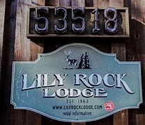 Image result for Lily Rock Idyllwild Logo