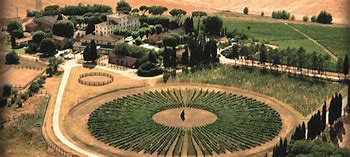 Image result for Avignonesi Vignola Toscana