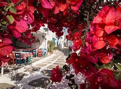 Image result for Mykonos View