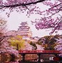 Image result for Sakura Japonia