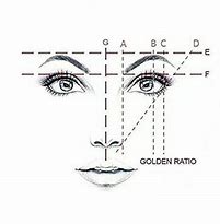 Image result for Golden Ratio Eye