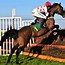 Image result for Steeplechase Horse Racing