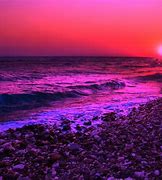 Image result for Purple Sea