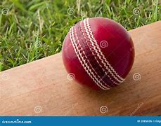 Image result for Cricket Ball