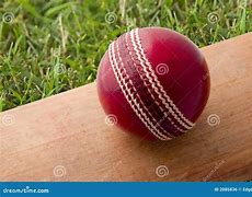 Image result for Cricket Bat Ball