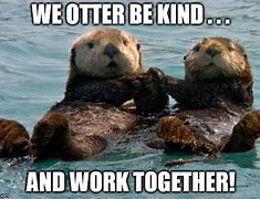 Image result for Otter Work Memes
