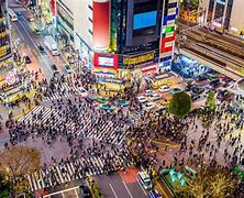 Image result for Shibuya Crossing Puzzle