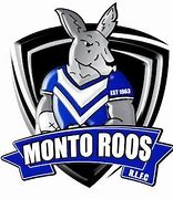 Image result for Monto Roos Logo