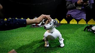 Image result for Pet Robot Dog