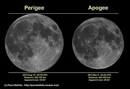 Image result for Apogee Moon