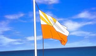 Image result for Anime Character Signal Flags