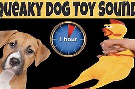 Image result for Squeaky Toy Sounds for Dogs
