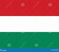 Image result for Official Hungary Flag