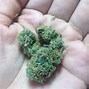 Image result for Skittlz Edible Joint Smoke