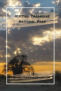 Image result for Kilimanjaro National Park, Tanzania