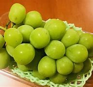 Image result for Japanese Muscat Grapes