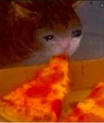 Image result for Sad Cat Meme Pizza