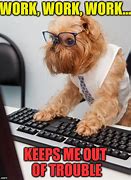 Image result for Animal Memes About Work