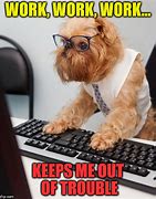 Image result for Animal Memes About Work