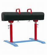 Image result for Gymnastic Horse Equipment