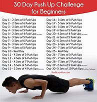 Image result for 30-Day Push-Up Challenge Beginner
