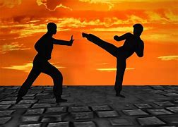 Image result for Martial Arts Artwork