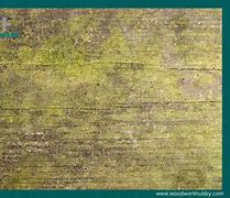 Image result for Treated Lumber Green Residue