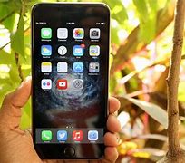 Image result for Tropical for Apple iPhone 6 Plus