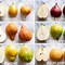 Image result for Pear Sweetness Chart