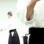 Image result for Aikido Images