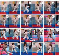 Image result for Karate Kata Heian Shodan