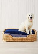 Image result for Most Expensive Dog Bed