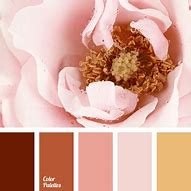 Image result for Rose Gold Color Palette for Home