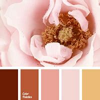 Image result for Rose Gold the Color 66 Pink
