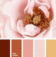 Image result for Rose Gold Color Palette Hex Code