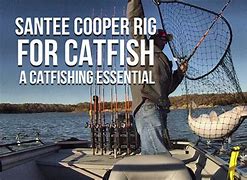 Image result for Catfish Rigs for Lakes