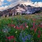 Image result for National Parks Landscape Photography