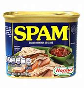 Image result for Carne Spam