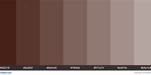 Image result for Brown Tint for Photoshop