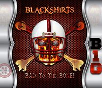 Image result for Bad to the Bone Backround