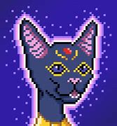 Image result for Celestial Kingdoom Cat