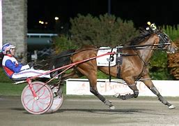 Image result for Horse Coasters Harness Racing
