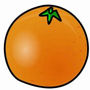 Image result for Orange Fruit for Kids