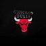 Image result for NBA Bulls Good Players at Slamduck 23