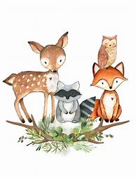 Image result for Woodland Theme. Animals