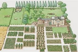 Image result for 1 Acre Homestead Plan