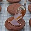 Image result for Chocolate Christmas Cookies