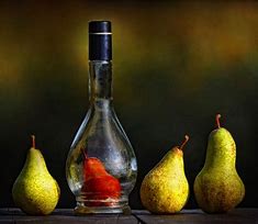 Image result for Still Life Photography Images