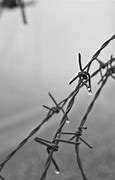 Image result for Barbed Wire Aesthetic