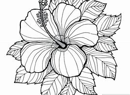 Image result for Tropical Plants Coloring Pages
